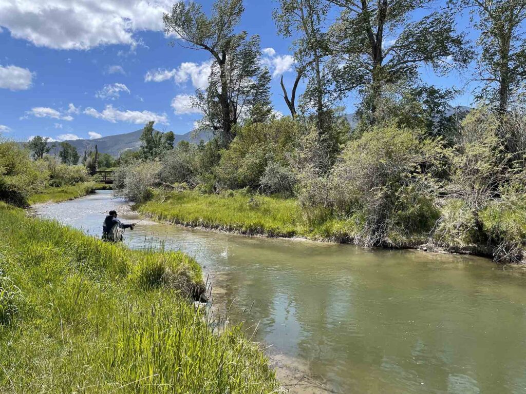 FISH-IT-PHOTO-Resized