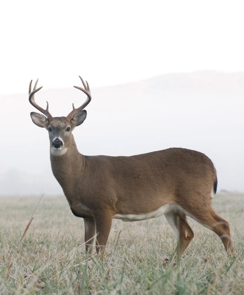 AdobeStock_11025718-scaled