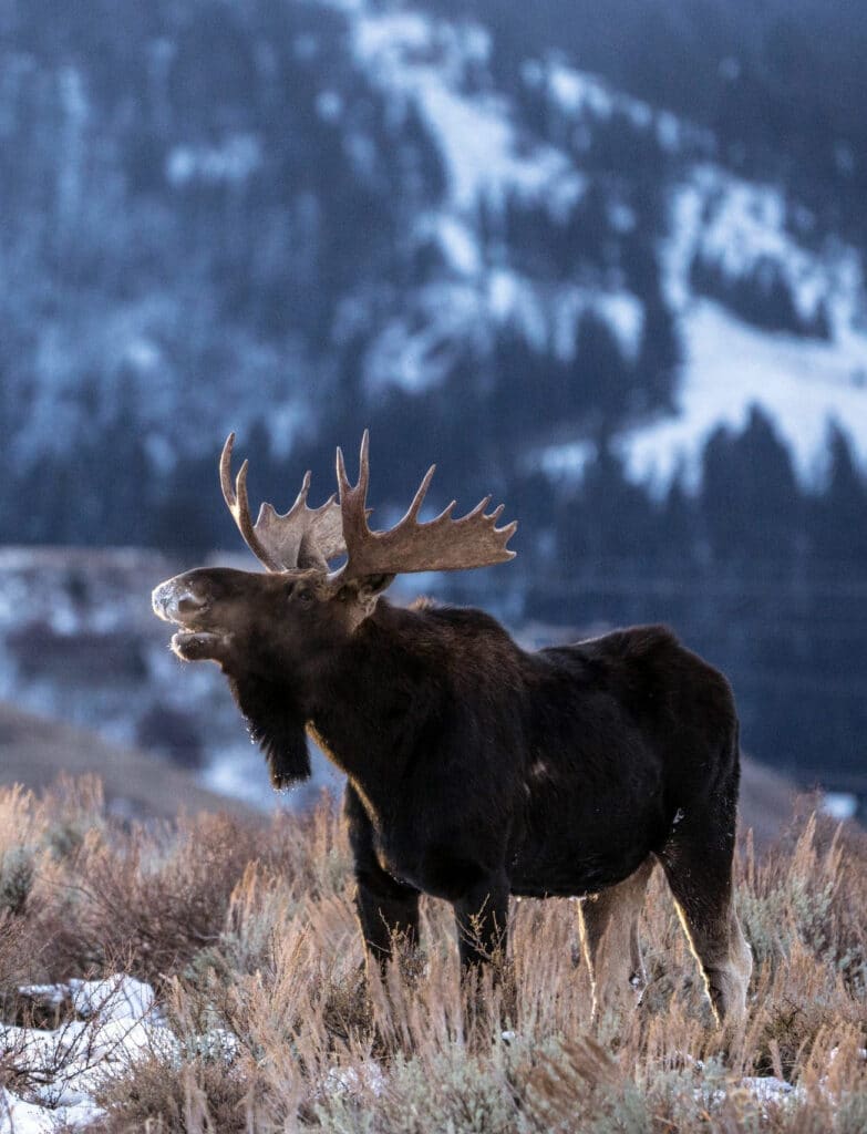 AdobeStock_180139120-scaled