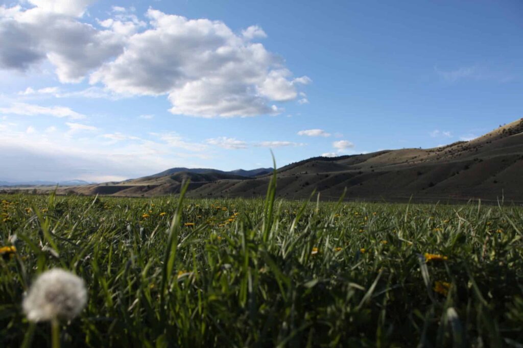 blog-post-5372web-2000x1333